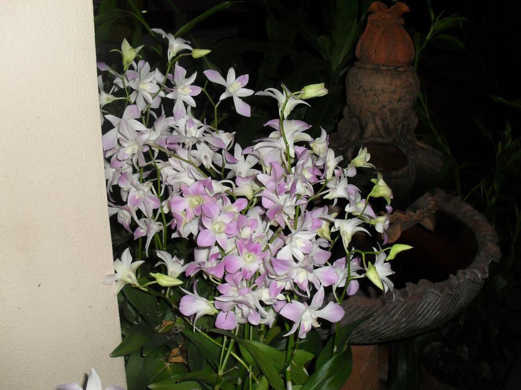Your House 3 Guest House Chiang Mai Eksteriør billede